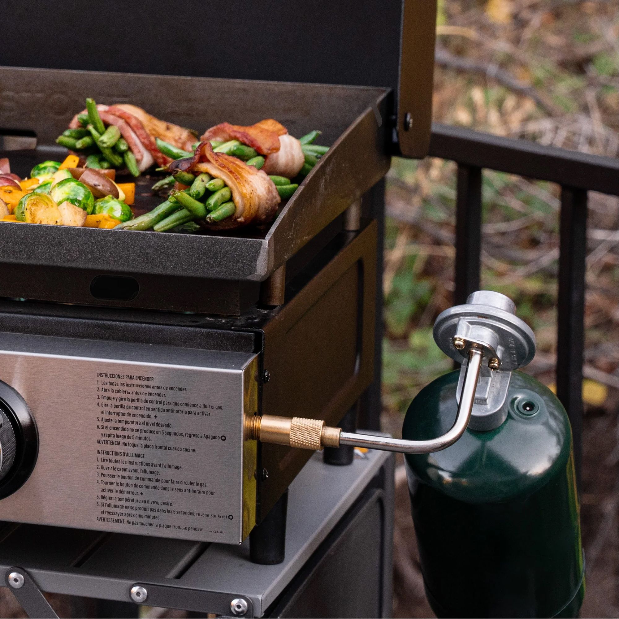 Blackstone Omnivore 22" Stainless Griddle with Hood Publiclands